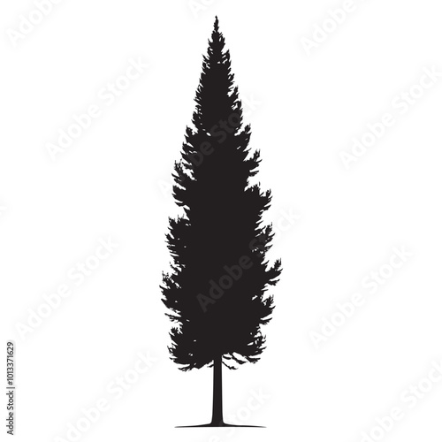 Cypress Tree Vector illustration in black and white - Cypress Plant Silhouette Design