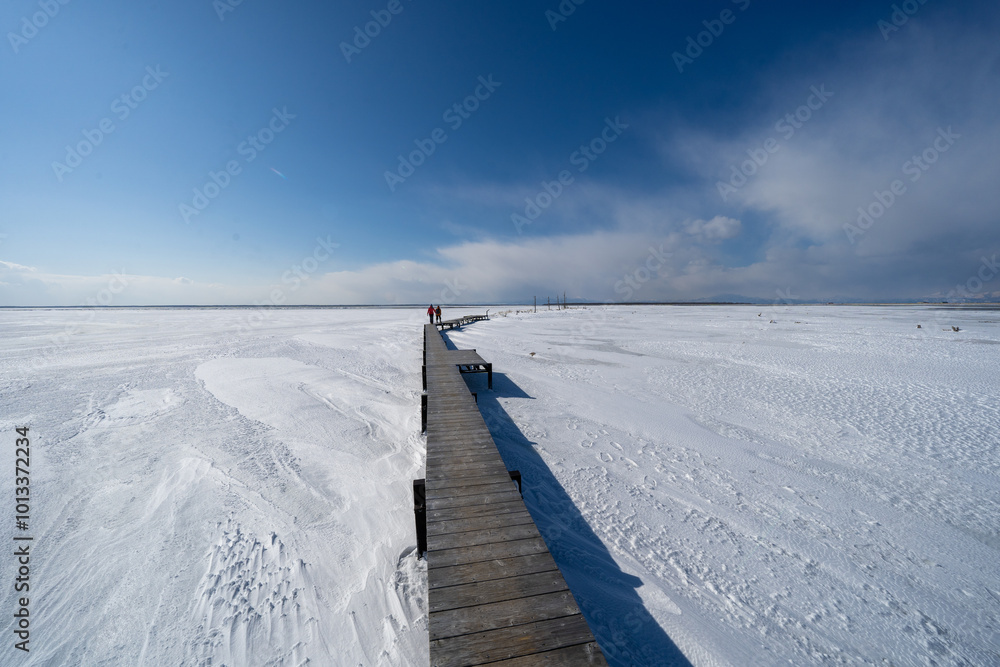 Todawara, Notsuke peninsula in Hokkaido Japan Todawara, Notsuke peninsula in Hokkaido Japan