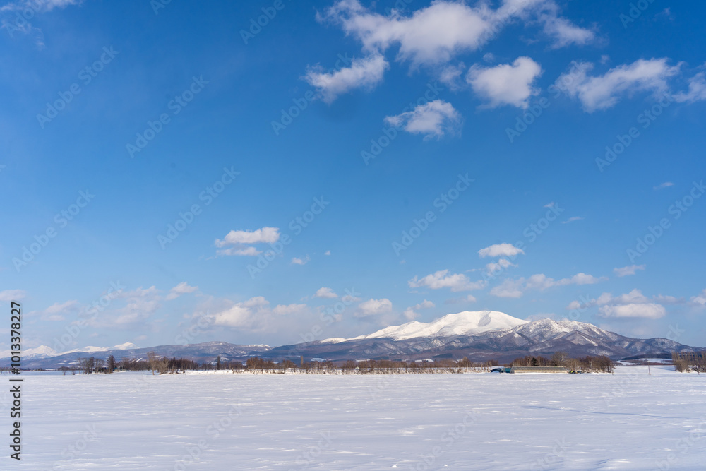 snow covered trees and mountain in Hokkaido Japan 