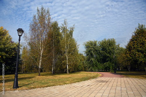 Obraz na płótnie Street in the park w salonie