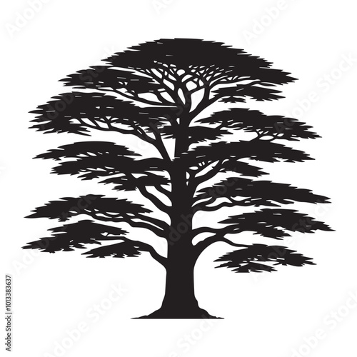 Cedar Tree Vector illustration in black and white - Cedar Plant Silhouette Design
