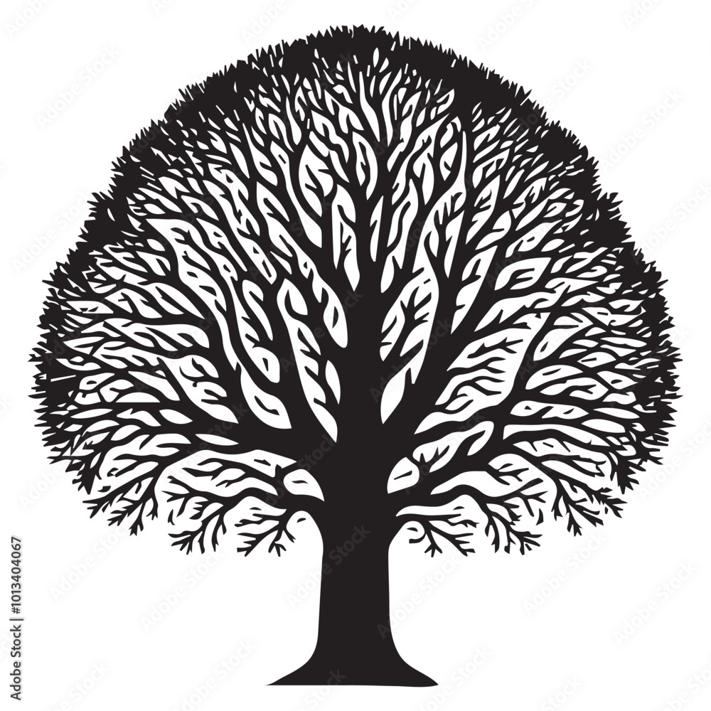 Naklejka premium Ash Tree Vector illustration in black and white - Ash Plant Silhouette Design