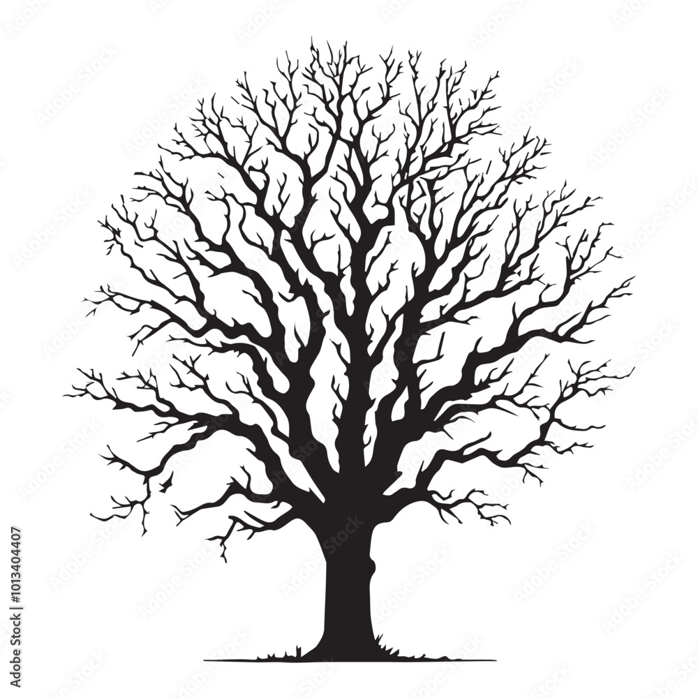 Fototapeta premium Ash Tree Vector illustration in black and white - Ash Plant Silhouette Design