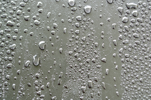 Wallpaper Mural Close up of water droplets on dark cover background. Water or rain droplets and wallpaper design concept Torontodigital.ca