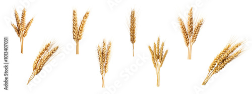 A single Barley on white background