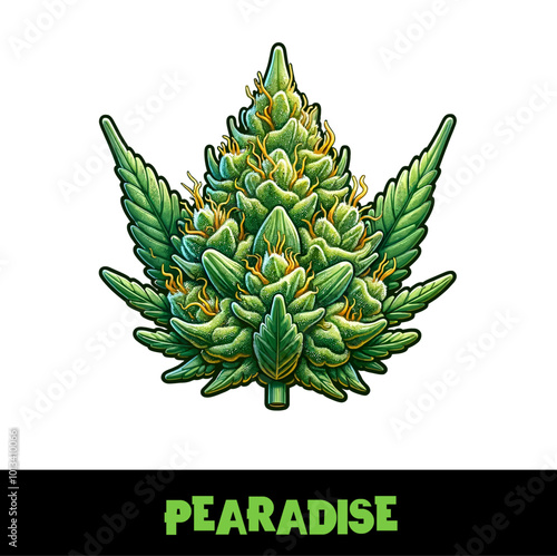 Vector Illustrated Pearadise Cannabis Bud Strain Cartoon