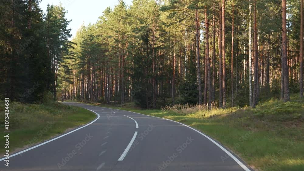 Empty road winds through lush pine forest, with sunlight dappling the asphalt. Scene captures beauty of nature, showcasing serene and peaceful landscape. Driving on empty curved highway Empty road winds through lush pine forest, with sunlight dappling the asphalt. Scene captures beauty of nature, showcasing serene and peaceful landscape. Driving on empty curved highway