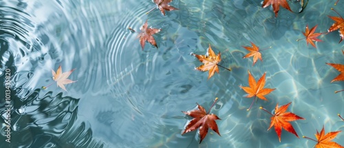 A body of water with leaves floating on top of it