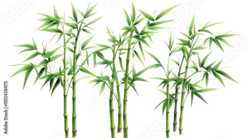 Green Bamboo Shoots Growing Upwards