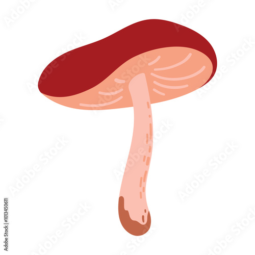 Hand Drawn Brown Boletus Mushroom Illustration Isolated on White Background. Autumn Forest Harvest. Fall Season Flora