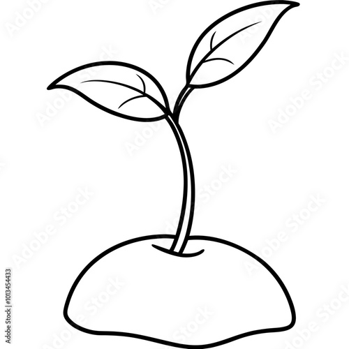 seedling sprout outline coloring book page line art drawing