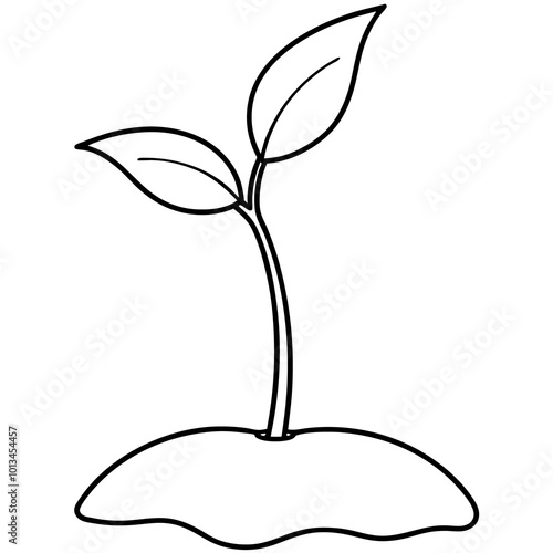 seedling sprout outline coloring book page line art drawing