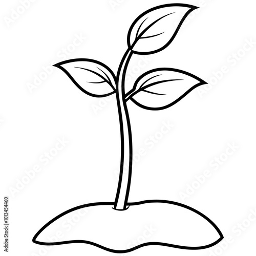 seedling sprout outline coloring book page line art drawing