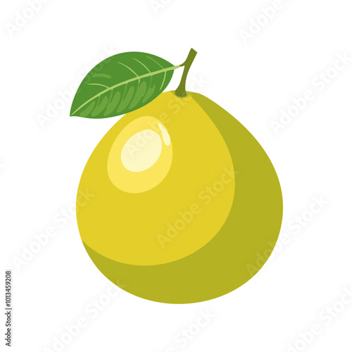Pomelo Fruit Vector Illustration
