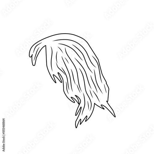 illustration of woman's hairline