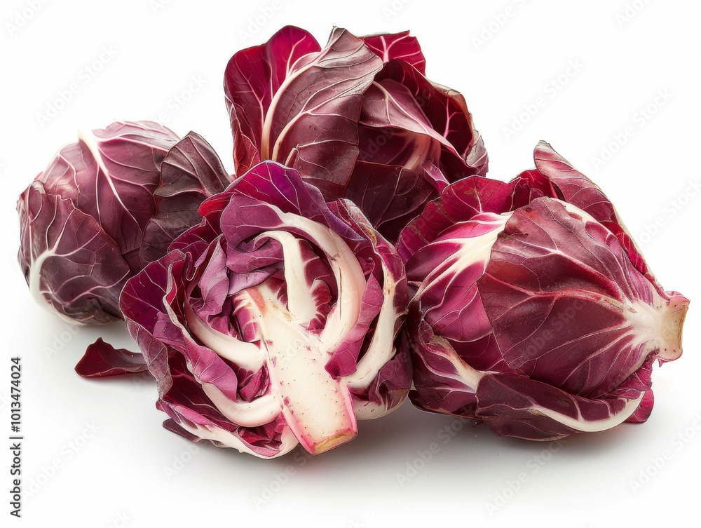 Fresh Radicchio on White Background Fresh Radicchio on White Background