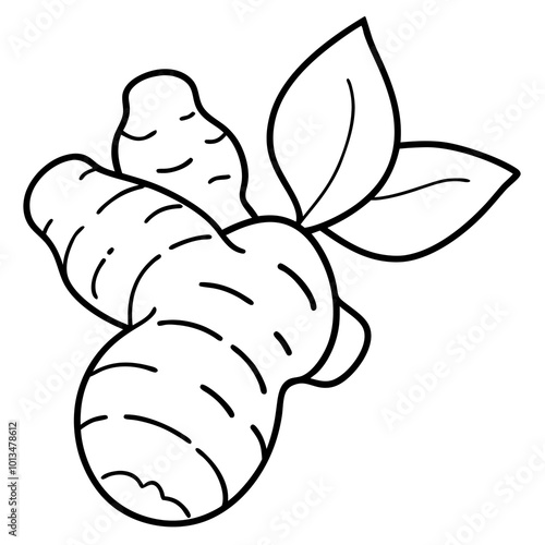 spice ginger outline coloring book page line art drawing