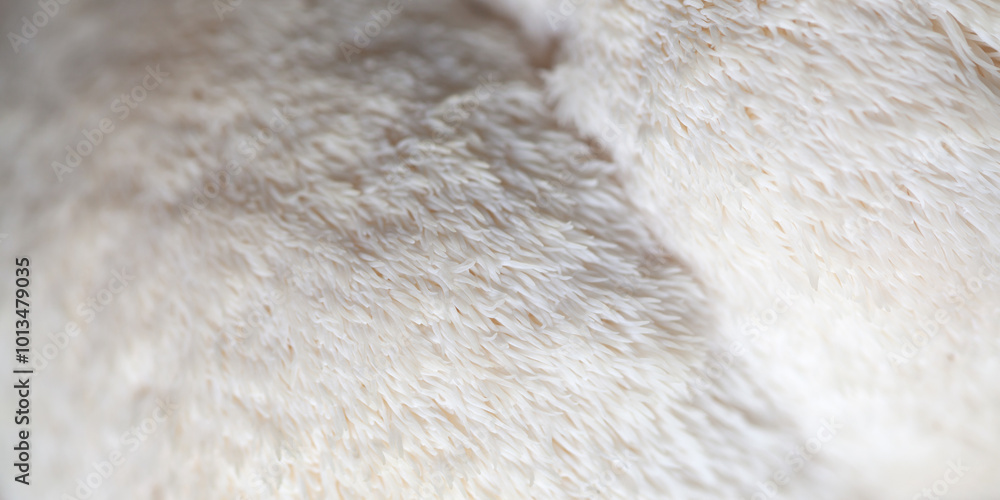 Lion's mane - Hericium erinaceus, medicinal mushroom used to support memory and brain cognitive functions. Lion's mane - Hericium erinaceus, medicinal mushroom used to support memory and brain cognitive functions.