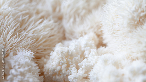 Lion's mane - Hericium erinaceus, medicinal mushroom used to support memory and brain cognitive functions.