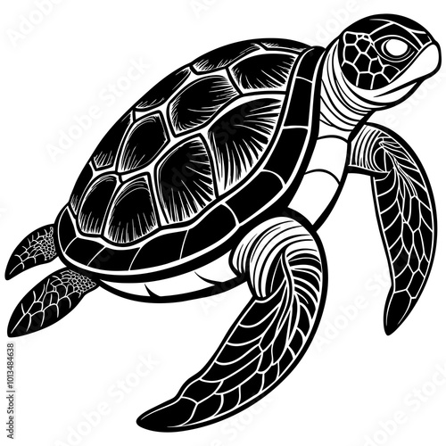 Turtle silhouette vector illustration with a detailed shell and hinged plastron. Ideal for nature-themed designs, logos, and educational materials.