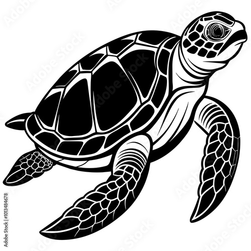 Turtle silhouette vector illustration with a detailed shell and hinged plastron. Ideal for nature-themed designs, logos, and educational materials.