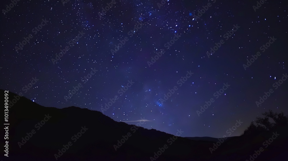 constellations and stars in the night sky with twinkling lights above dark forest constellations and stars in the night sky with twinkling lights above dark forest