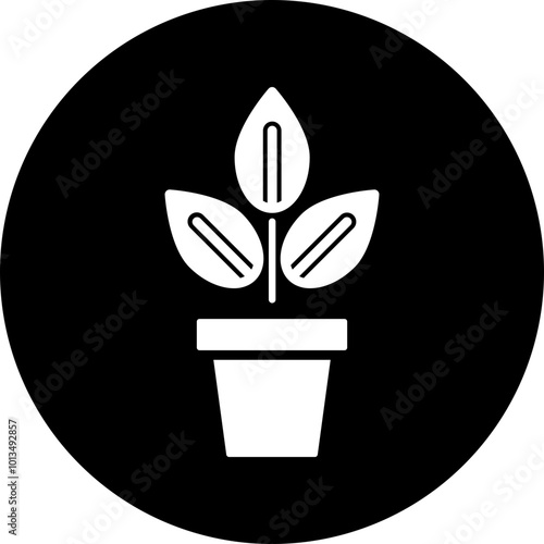 Indoor Plants Icon Design