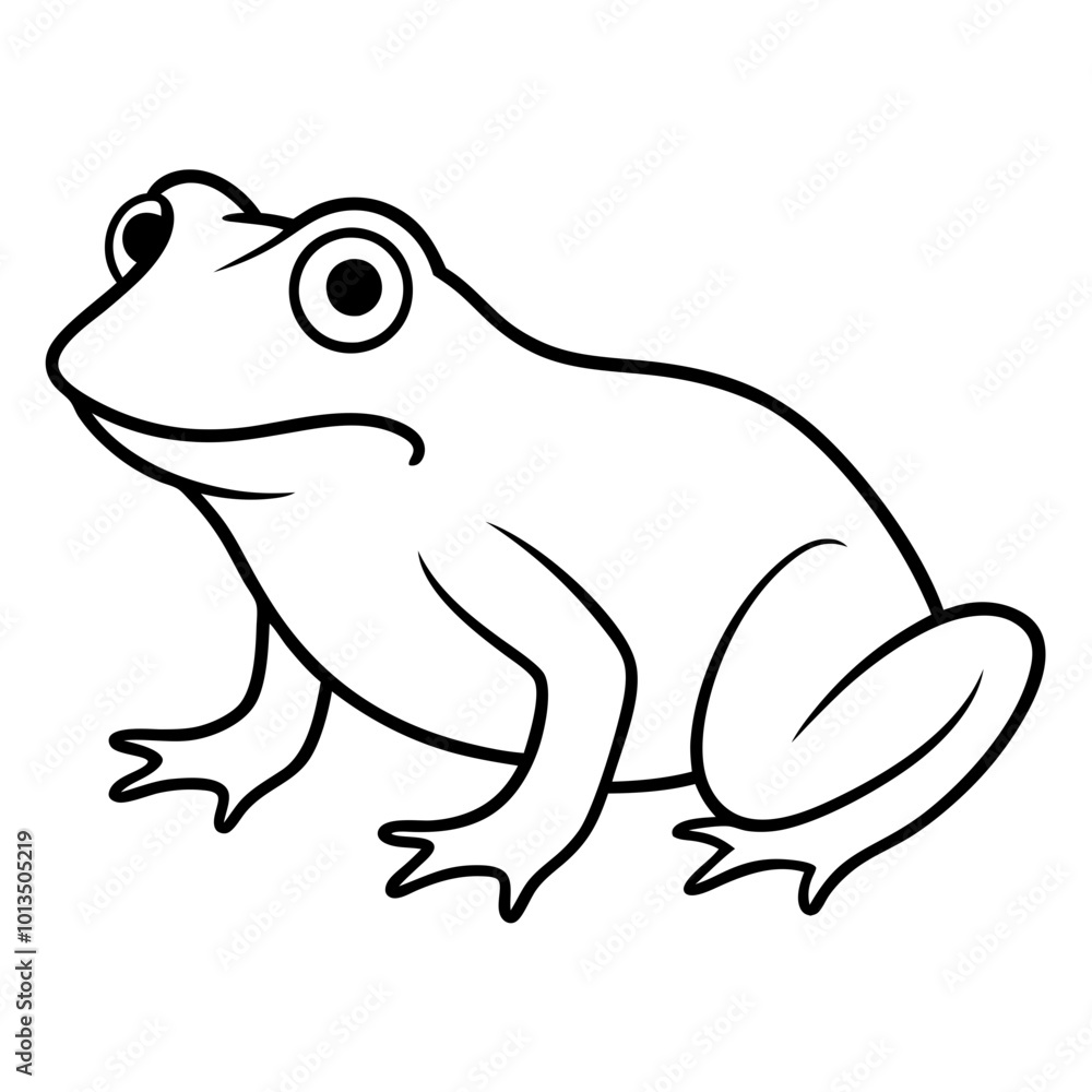 frog on white background frog on white background