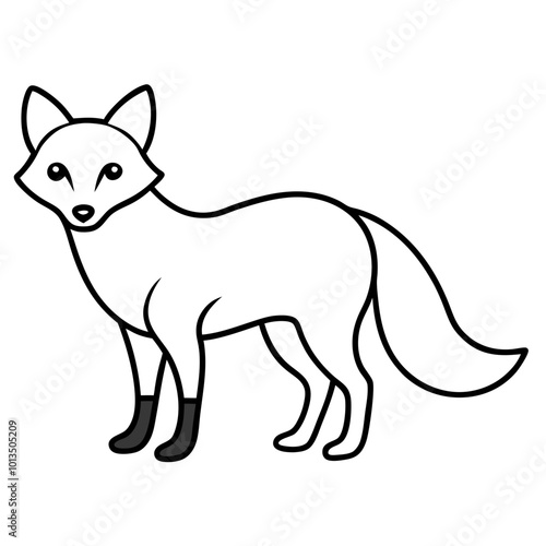 Fox on white background