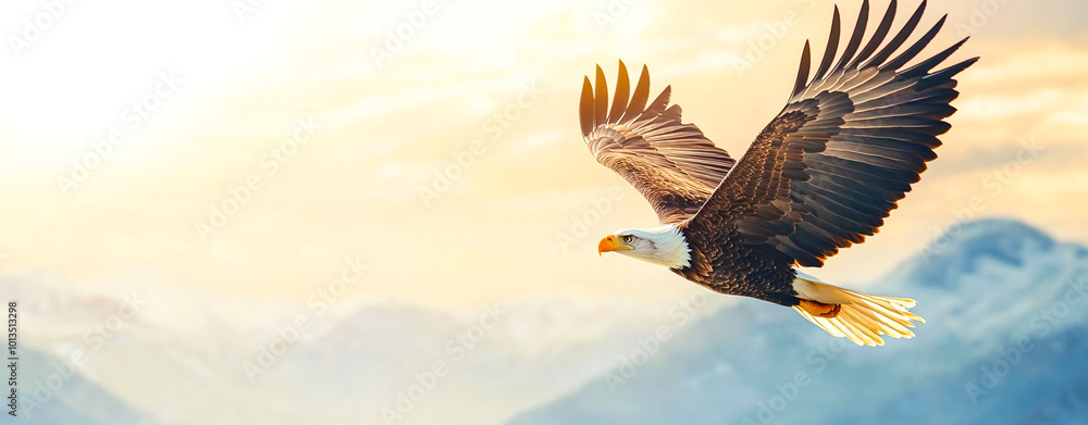 custom made wallpaper toronto digitalMajestic Bald Eagle Soaring Through Clear Blue Sky