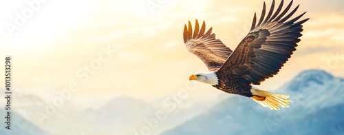 Wallpaper Mural Majestic Bald Eagle Soaring Through Clear Blue Sky Torontodigital.ca