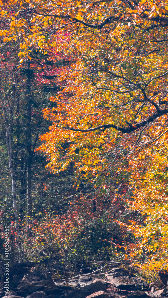 Magnificent autumn landscapes in the Canadian countryside in the province of Quebec Magnificent autumn landscapes in the Canadian countryside in the province of Quebec