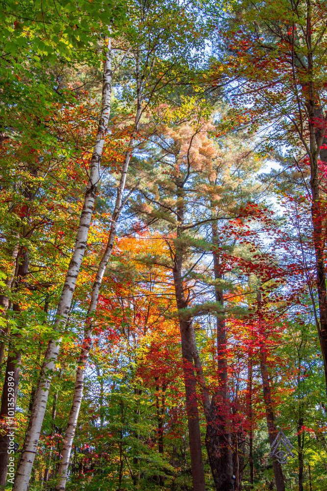 Magnificent autumn landscapes in the Canadian countryside in the province of Quebec Magnificent autumn landscapes in the Canadian countryside in the province of Quebec