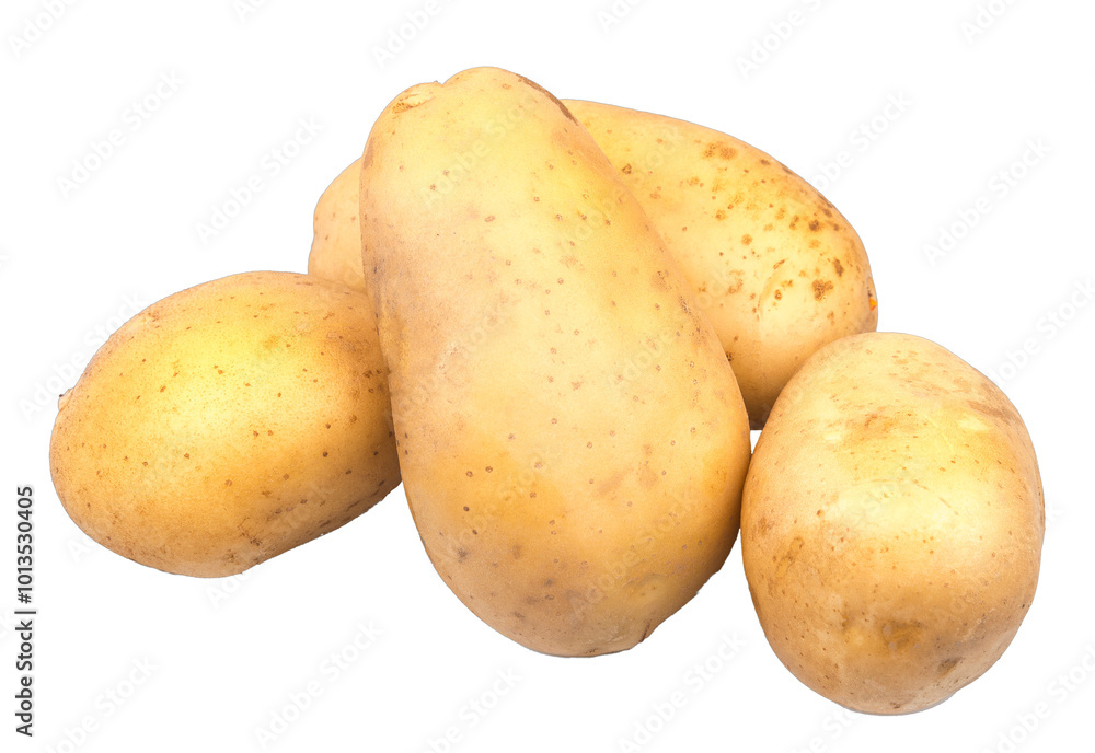 potatoes isolated on white or transparent background potatoes isolated on white or transparent background