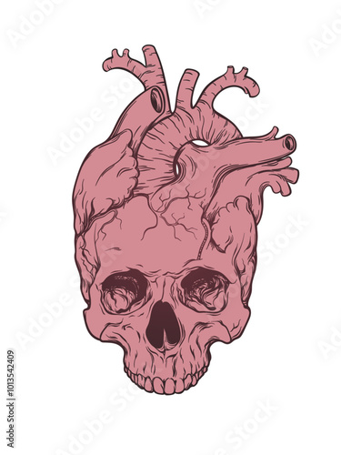 Human heart and skull anatomical hand drawn line art flash tattoo or print design vector illustration