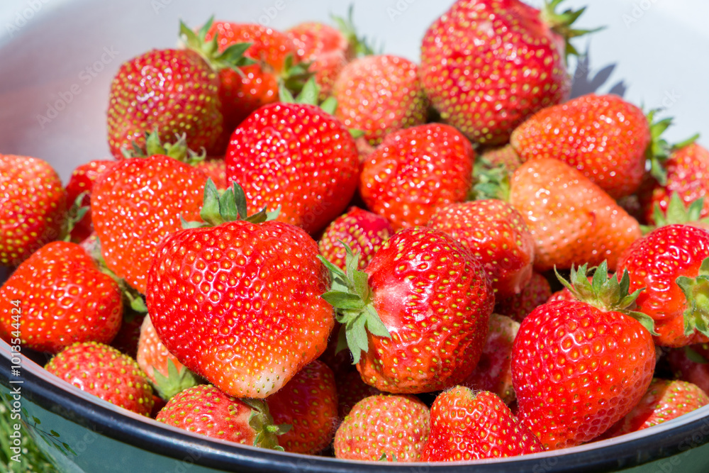 Strawberries in a bowl, close-up, selective focus Strawberries in a bowl, close-up, selective focus