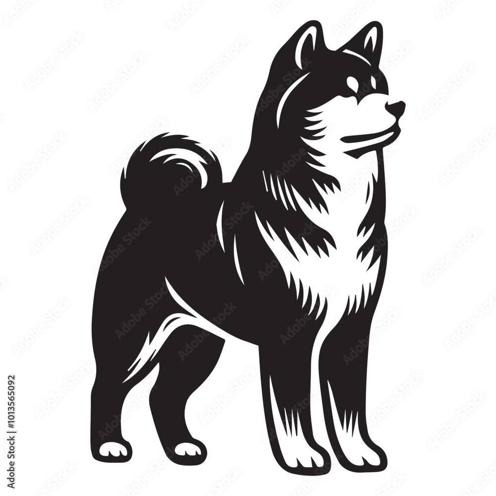Akita Dog Standing Vector illustration in black and white
Akita Dog Standing Vector illustration in black and white