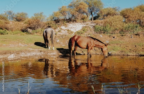 Bajo de Veliz, Province of San Luis, Argentina. photo