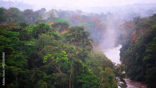 The beauty and mystery of the wild jungle. Dense tropical forests stretch on both sides of a wide river.