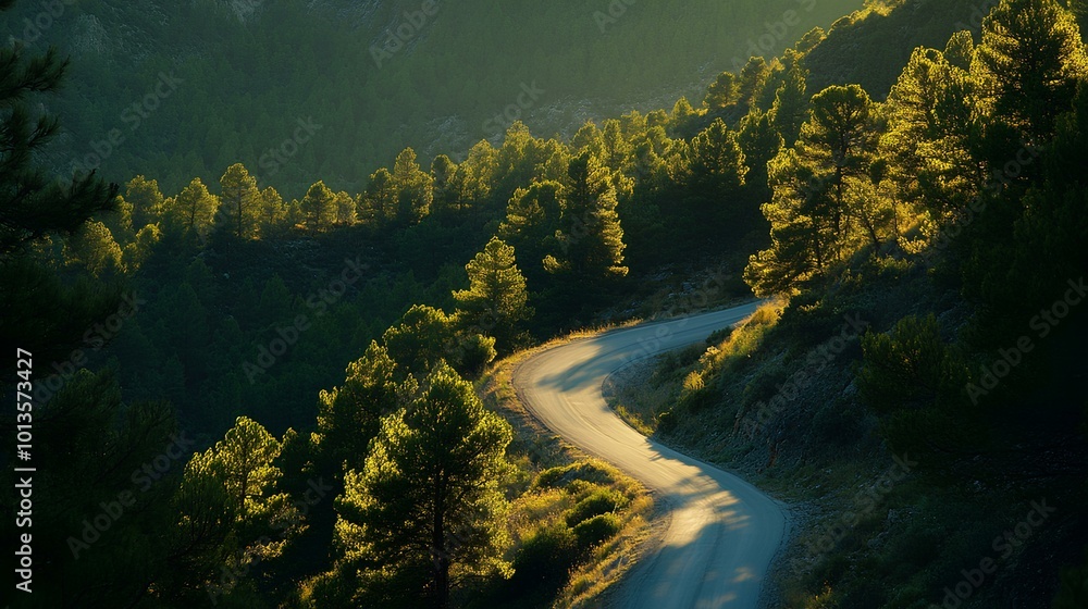 A winding road meanders through a lush forest, bathed in warm sunlight, creating a serene and picturesque landscape. A winding road meanders through a lush forest, bathed in warm sunlight, creating a serene and picturesque landscape.