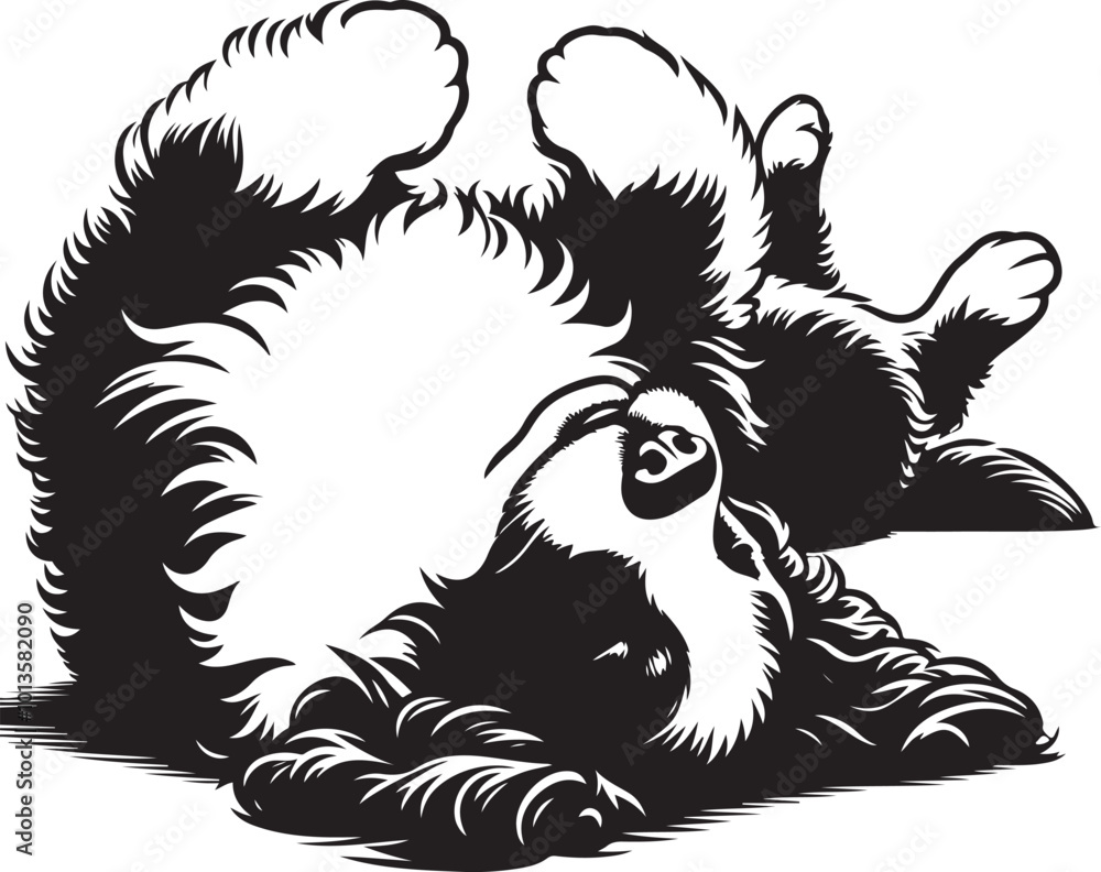 Obraz premium Bernedoodle Dog different poses silhouette vector design