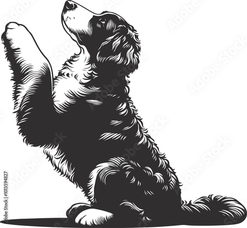 Bernedoodle Dog  different poses silhouette vector design