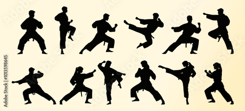 A series of martial arts silhouettes depicting various karate poses, including high kicks, punches, and defensive stances. The figures highlight balance, agility, and strength.