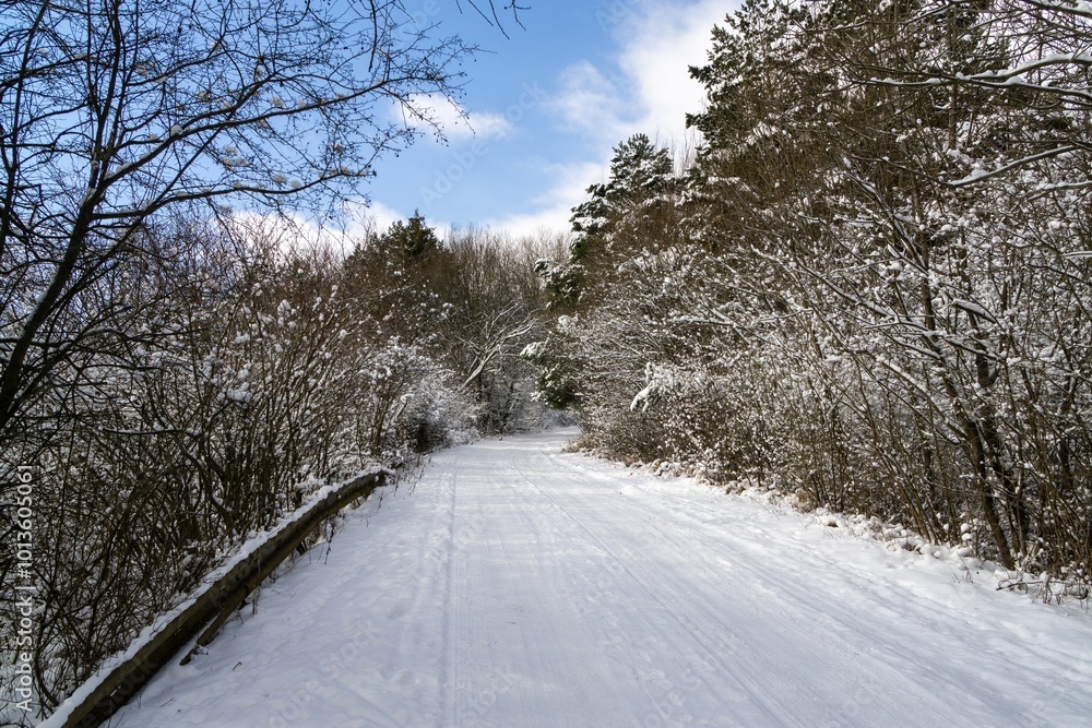 Nature under the snow during winter. Slovakia Nature under the snow during winter. Slovakia