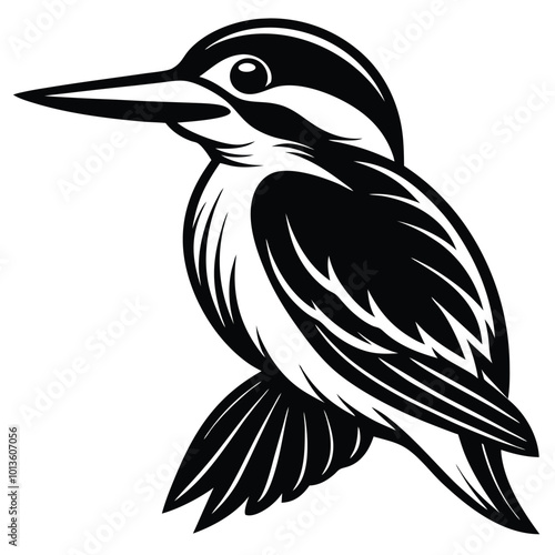  kingfishers bird vector design isolated on a white background. Easy editable layered vector illustration template 