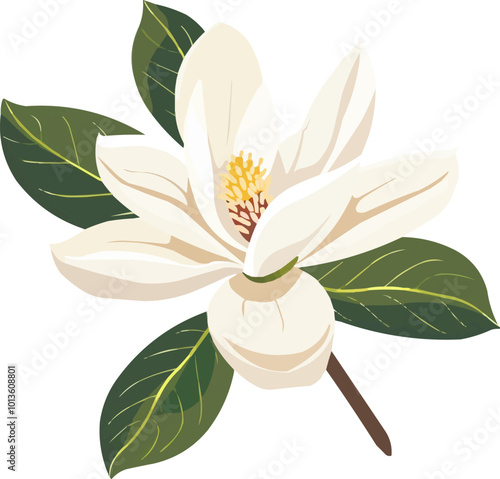 Elegant magnolia flower icon flat on white isolated background, vector design.