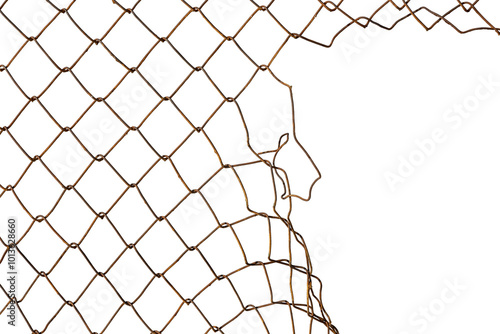 The texture of the metal mesh. Torn, destroyed, broken metal mesh on a white background photo