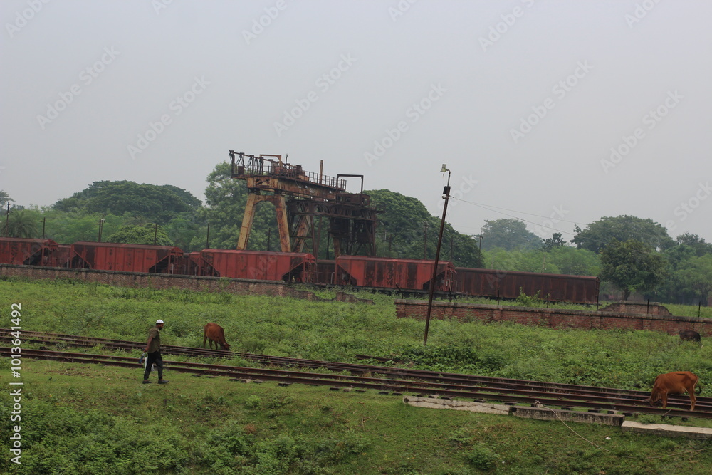 Fototapeta premium train in the countryside