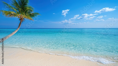 Wallpaper Mural A serene beach scene featuring a palm tree, clear blue water, and a bright sky. Torontodigital.ca