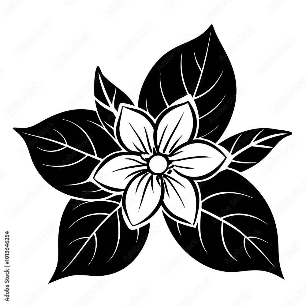 Fototapeta premium black and white flower isolated